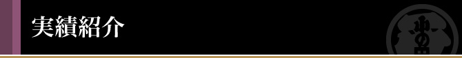 実績紹介